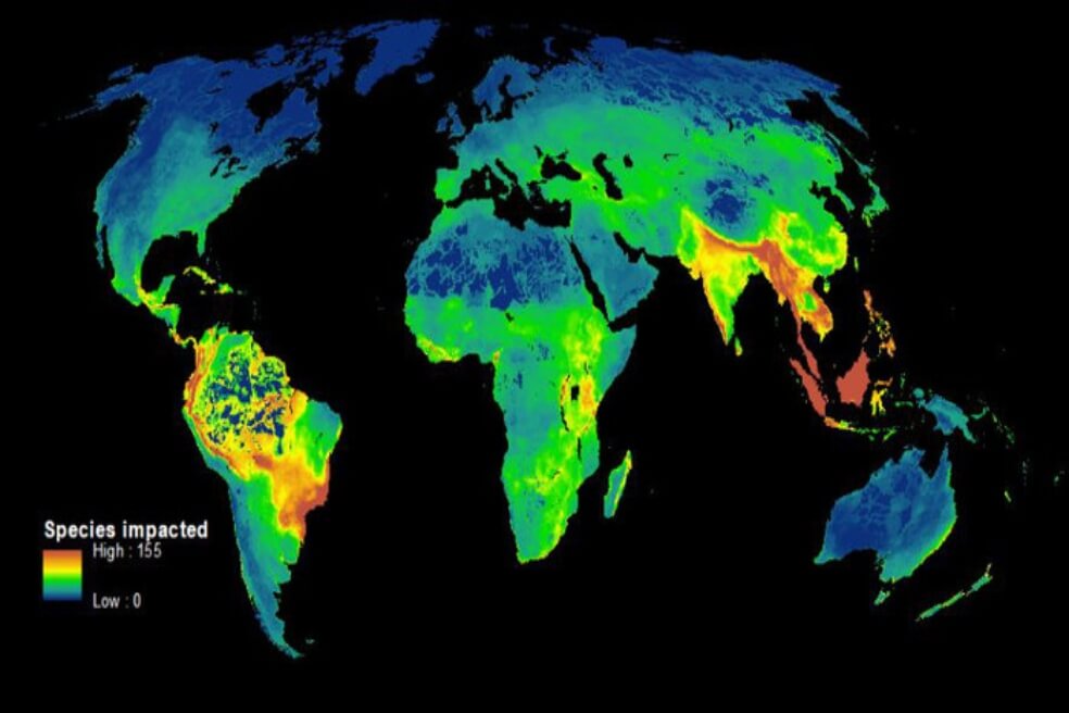 El primer mapa que muestra cómo los humanos destruyen la biodiversidad