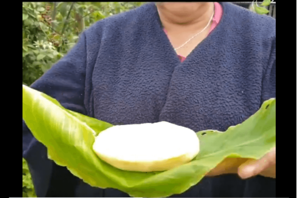 Invima aclara que no quiere prohibir el queso de hoja