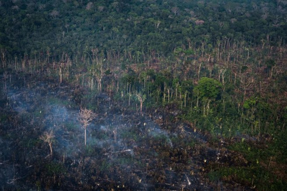 Se registra en la Amazonia brasileña el mayor número de incendios desde 2007