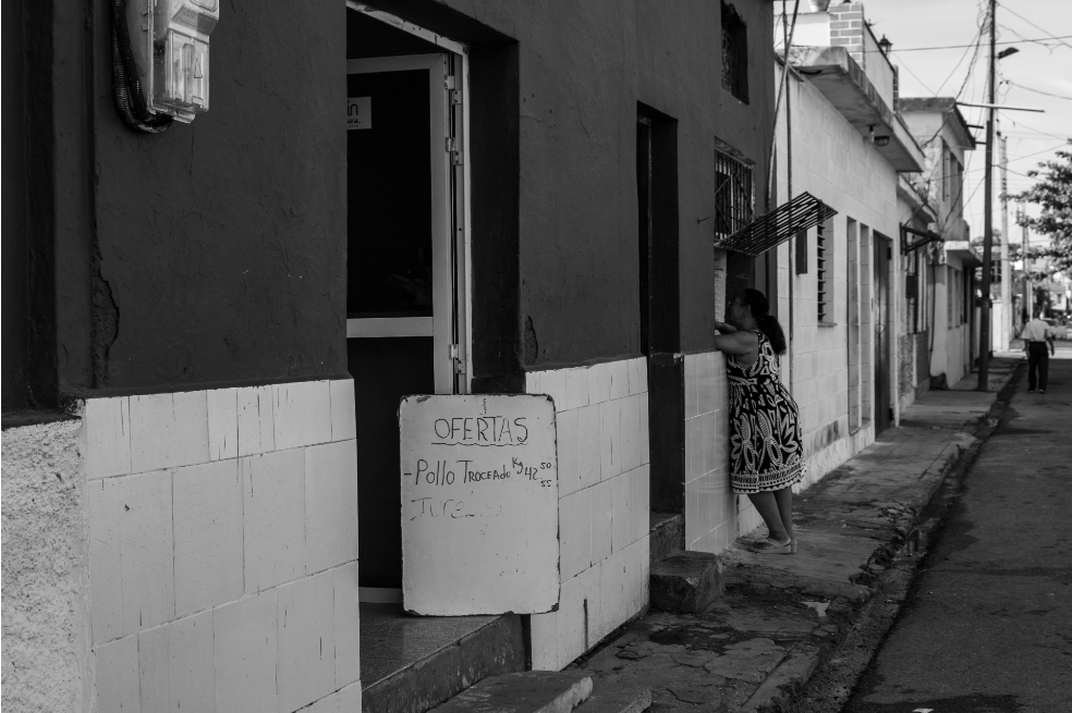 "Puertas y ventanas"