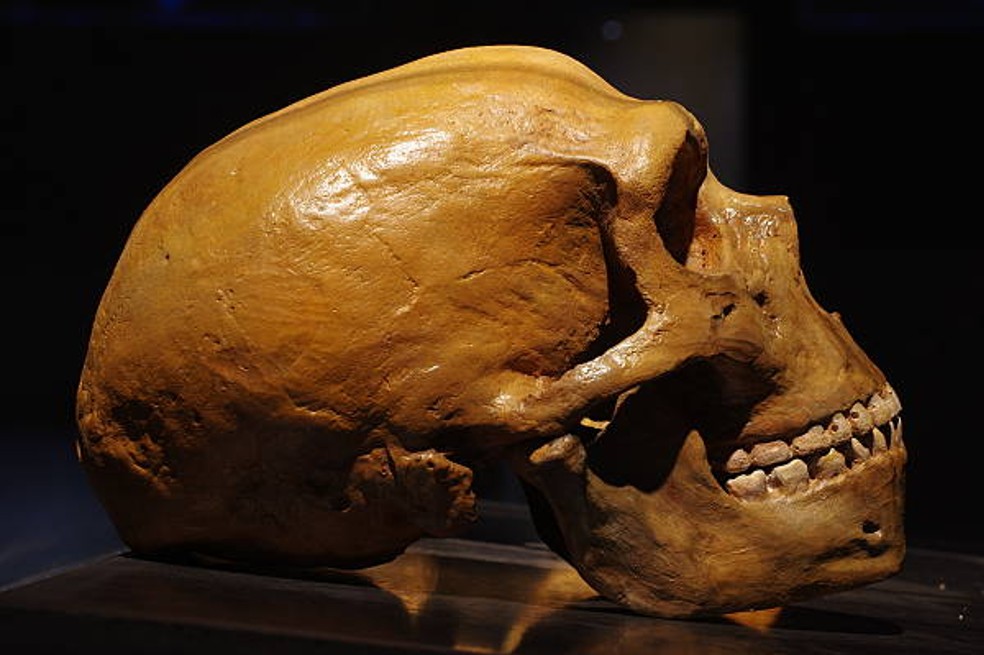 Científicos detectan un sesgo sexual en el mestizaje entre neandertales y humanos modernos