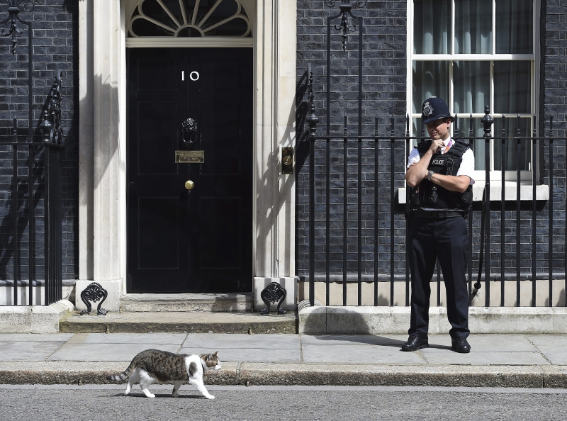 El gato Larry da un paseo mientras un policía lo observa en el número 10 de Downing Street. /EFE