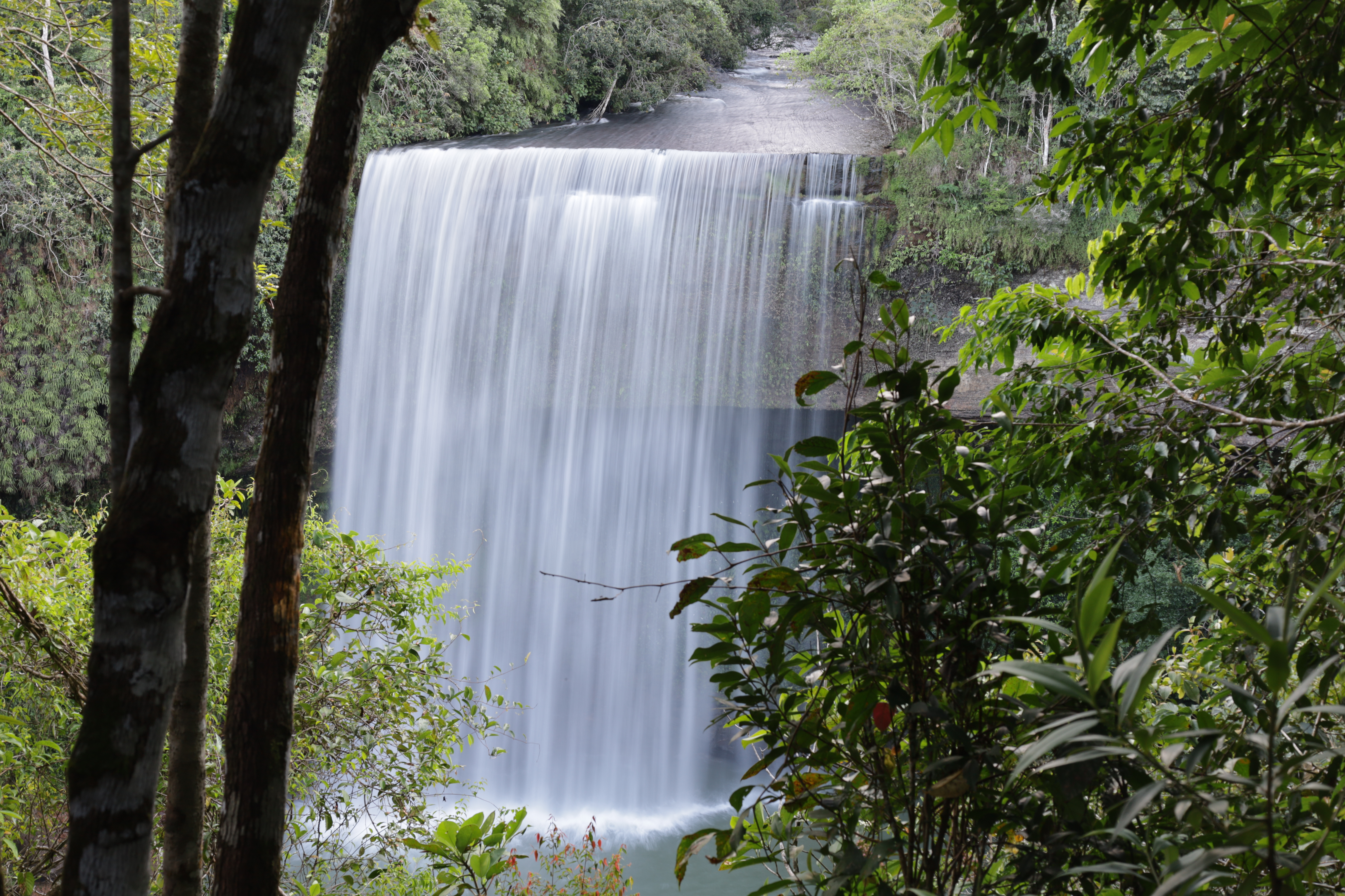 Guaviare: un territorio ancestral que hoy se transforma a través del turismo sostenible