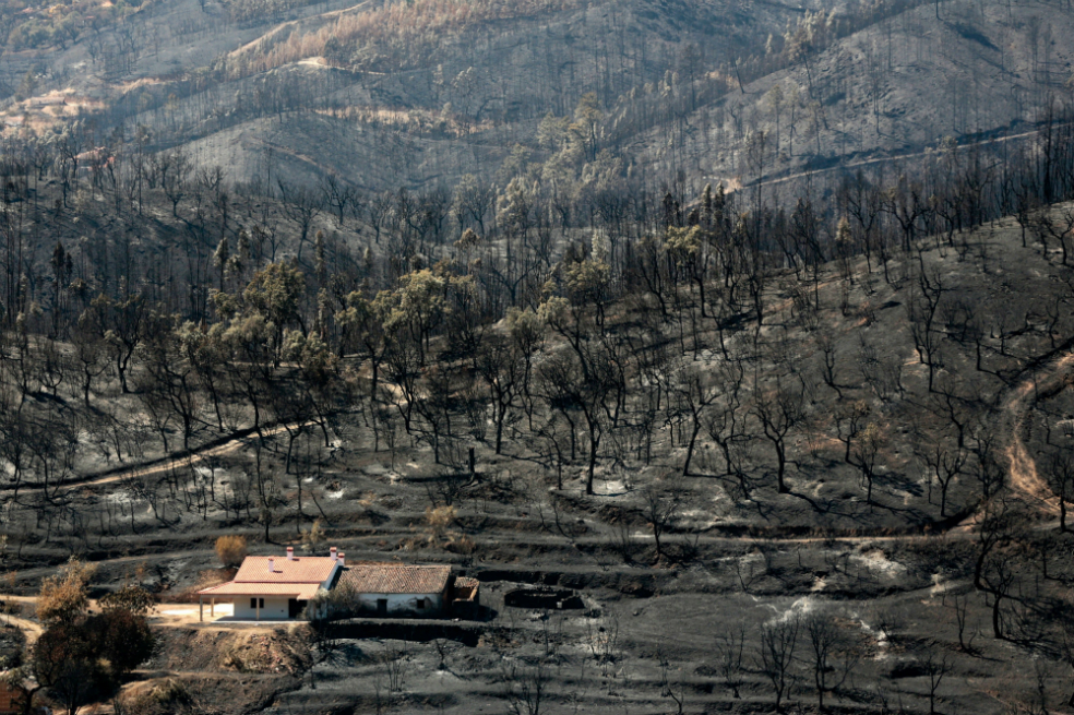 Controlado el incendio en el Algarve