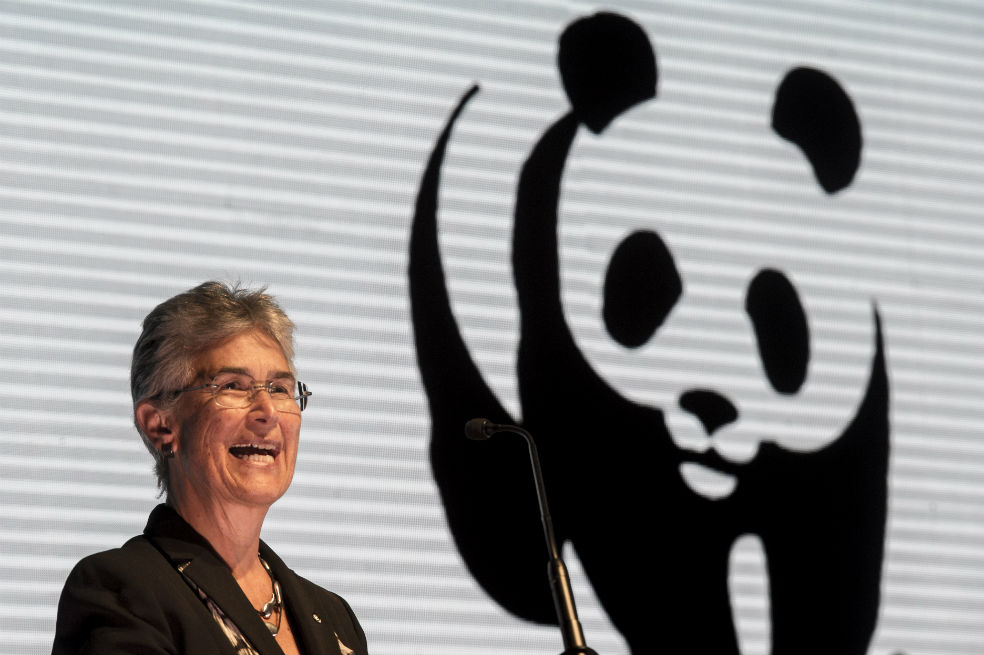Deterioro de los océanos amenaza la seguridad alimentaria global: WWF