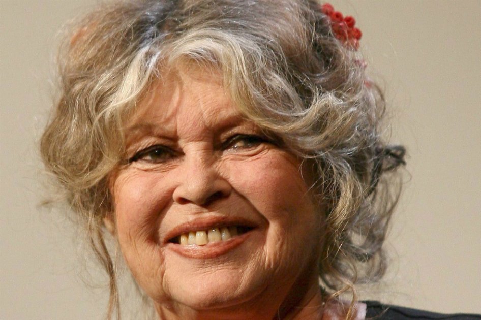 La conexión de Brigitte Bardot con Colombia: un bambuco tradicional y la defensa de animales