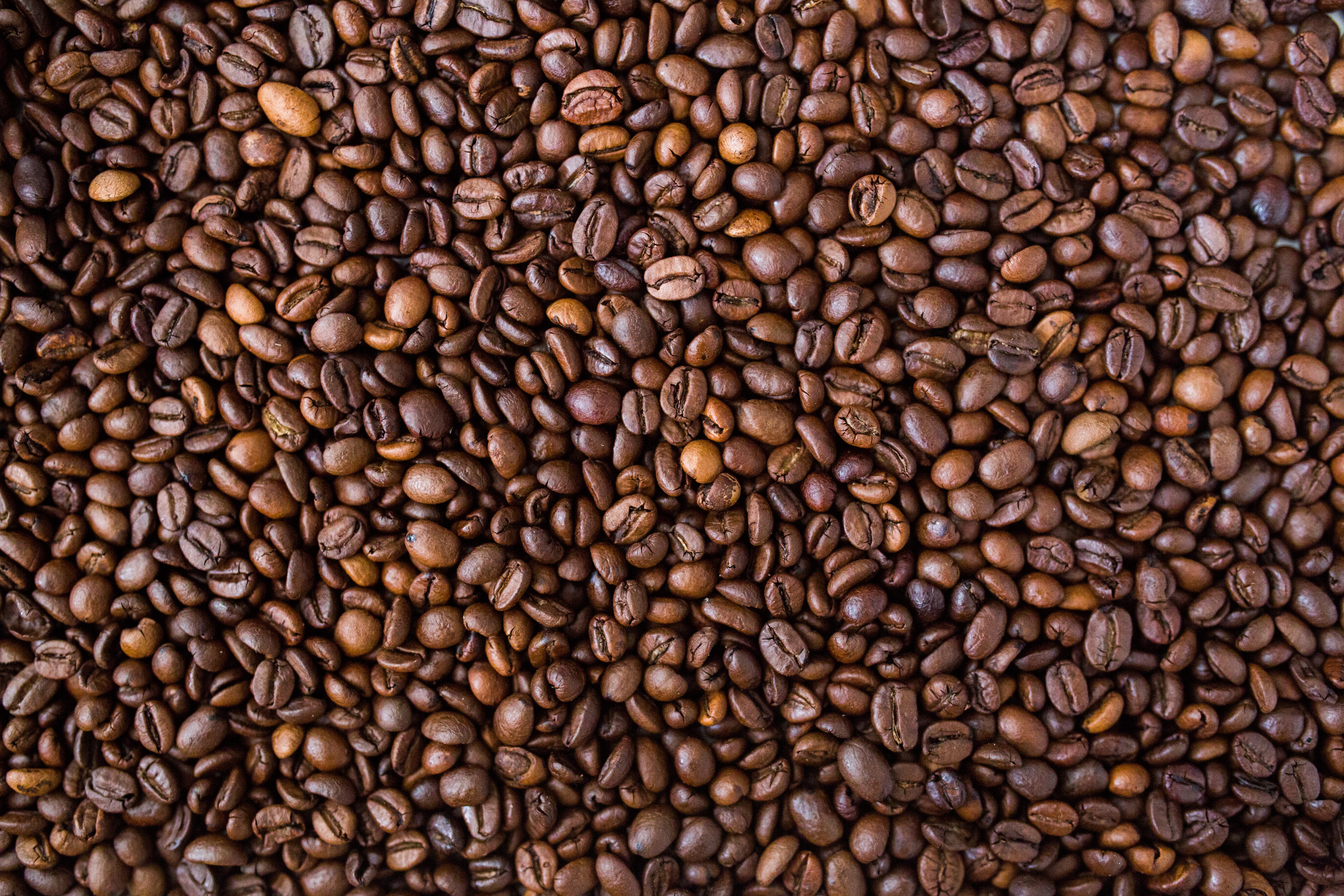 Día internacional del Café: hogares colombianos aumentan su frecuencia de compra