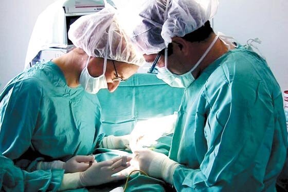 Radican proyecto para que extracción de biopolímeros sea reconocido por el POS