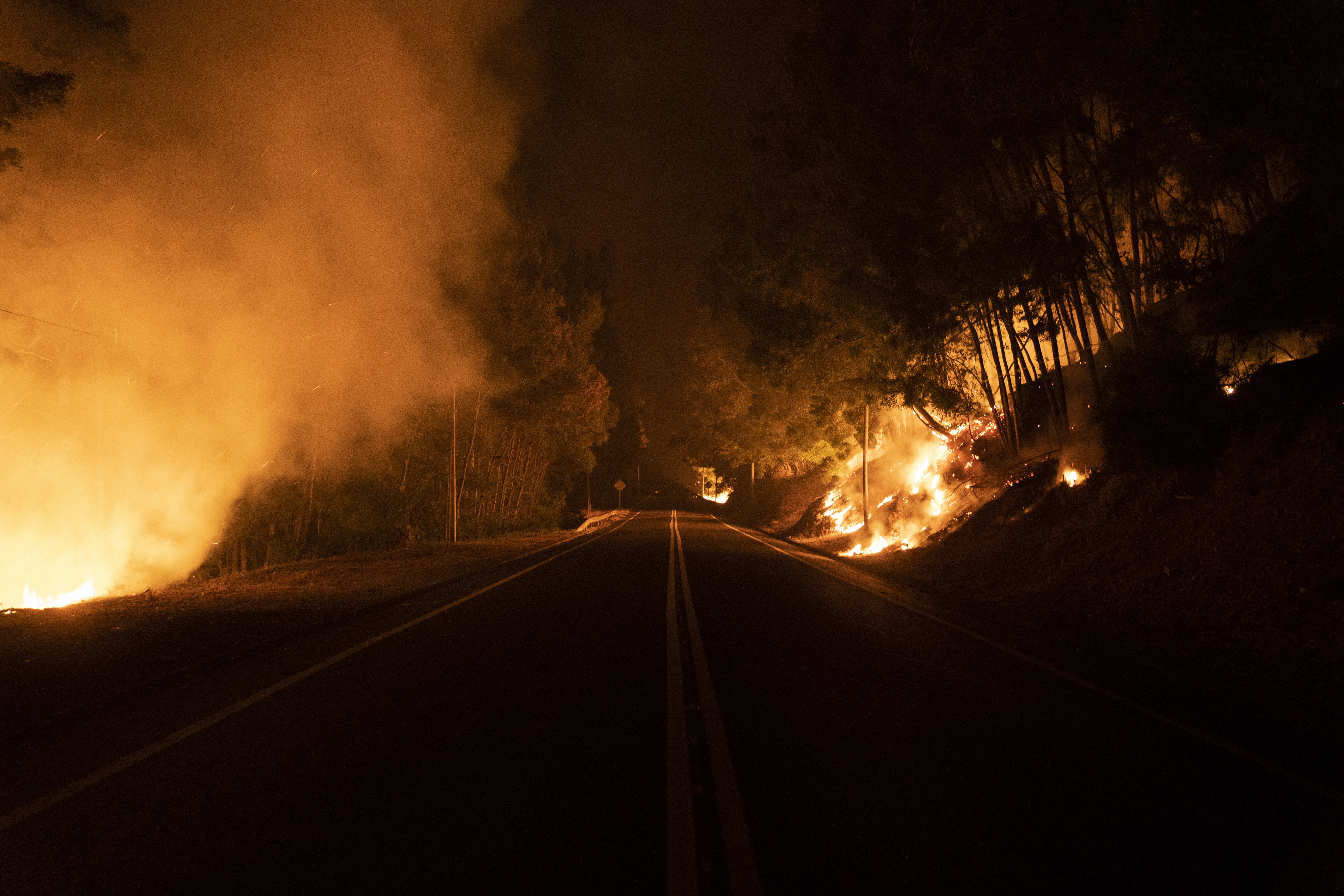 Toque de queda en regiones afectadas por los incendios en Chile