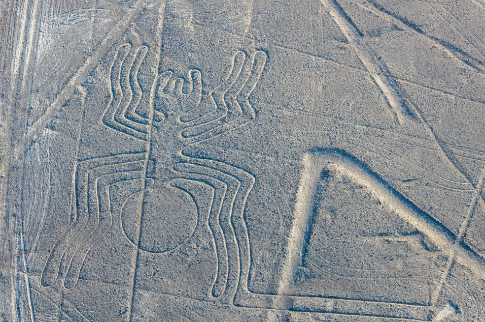 Marie Reiche, la científica protectora de las Líneas de Nazca homenajeada por Google