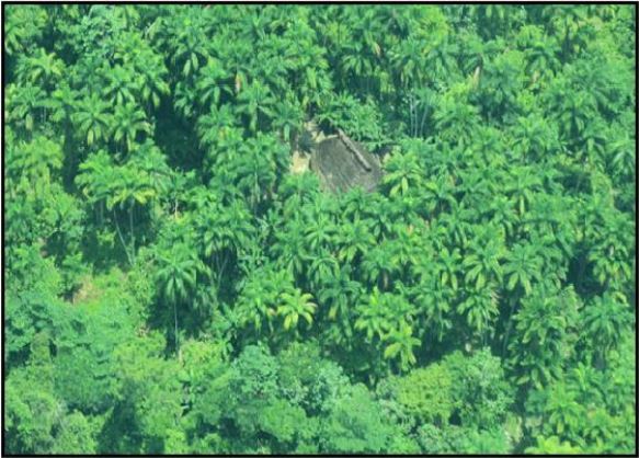 ¿Quiénes son los Yuri-Passé?: la etnia no contactada que busca justicia en Amazonas