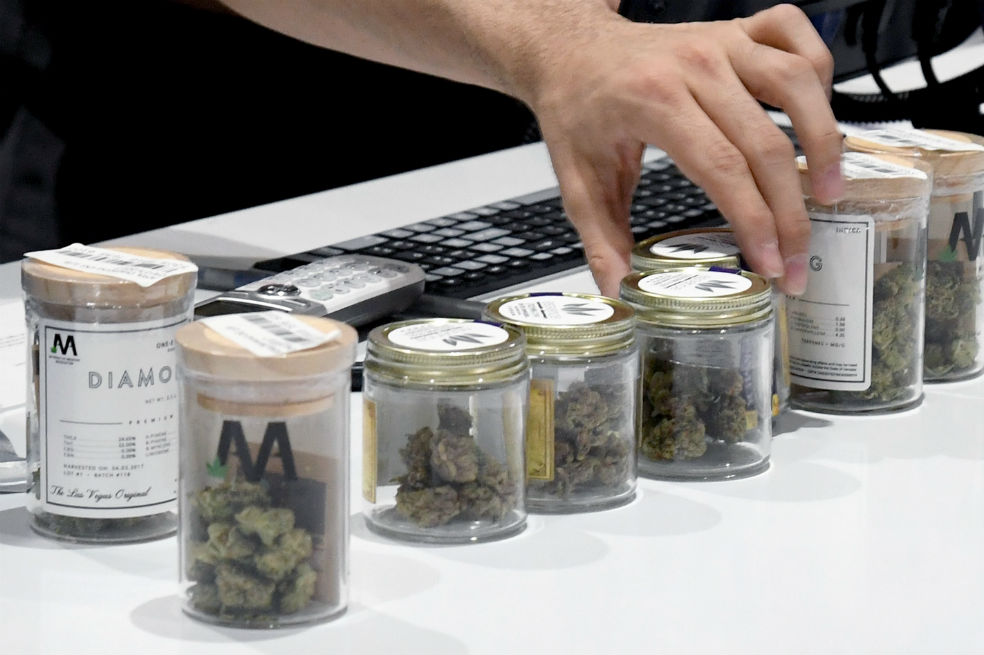 Primera carrera universitaria para el negocio de la marihuana
