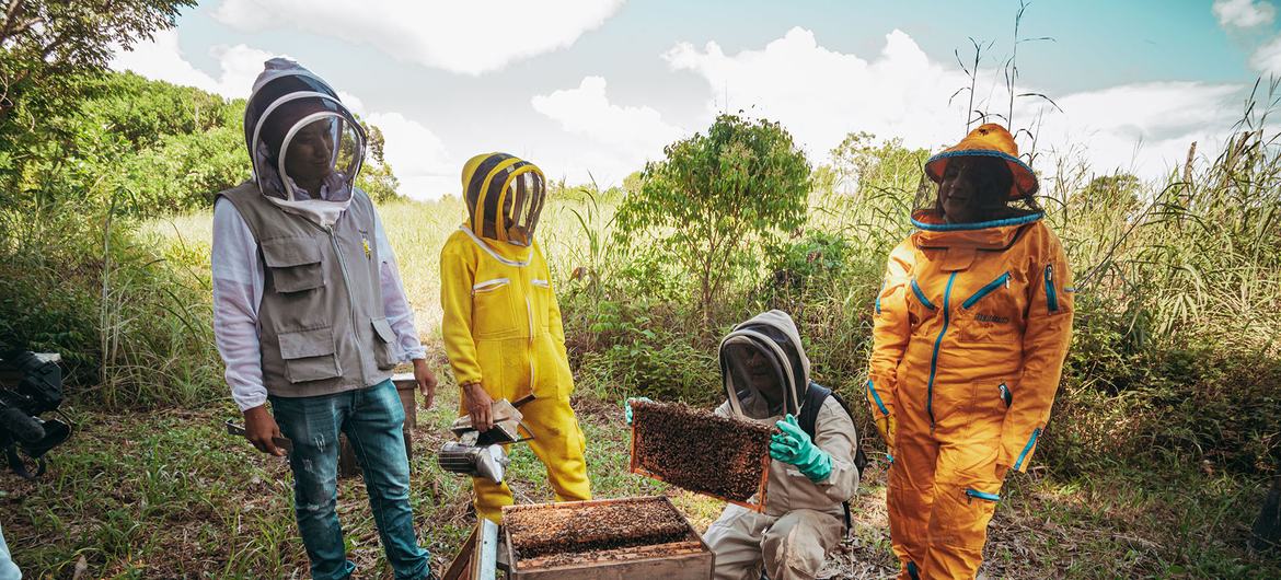 Desde el Bajo Cauca, un ejemplo de lo dulce que puede ser la reconciliación
