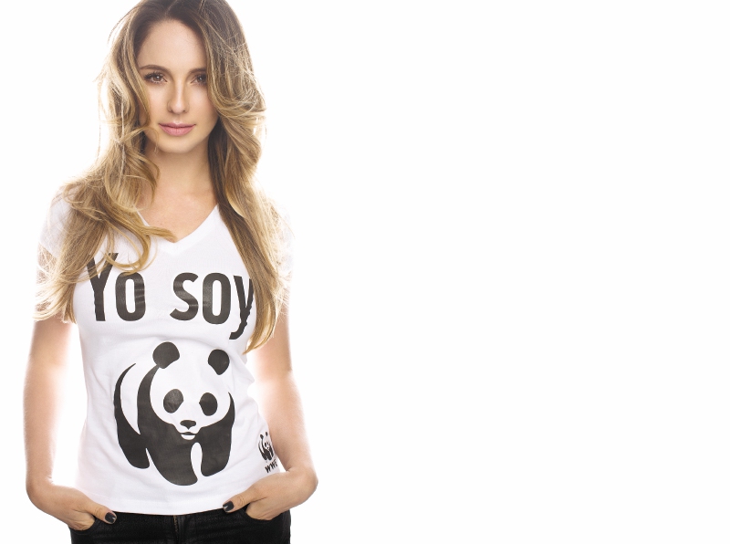 Un compromiso con el medio ambiente