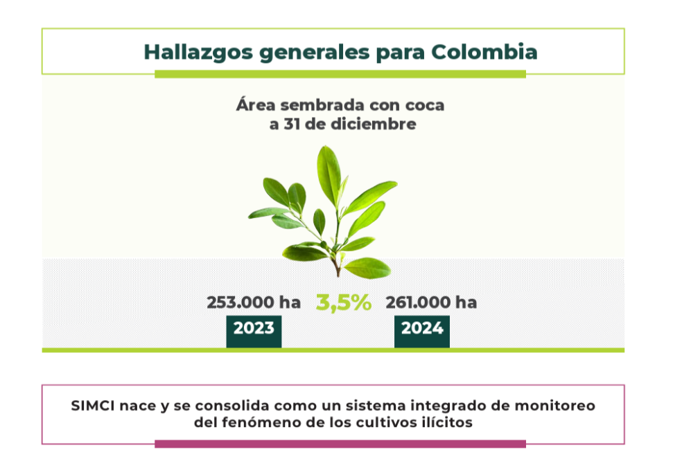 El informe que Petro cuestionó confirma nuevo aumento de los cultivos de coca