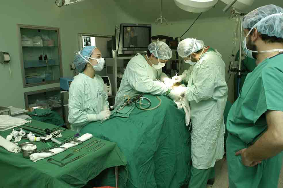 Donar órganos, donar vida