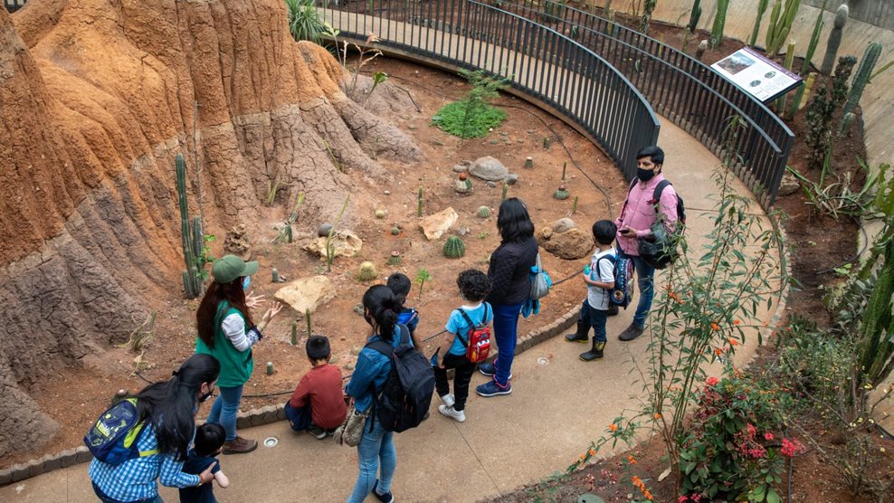 Jardín Botánico abre convocatoria para semillero de futuros botánicos y científicos