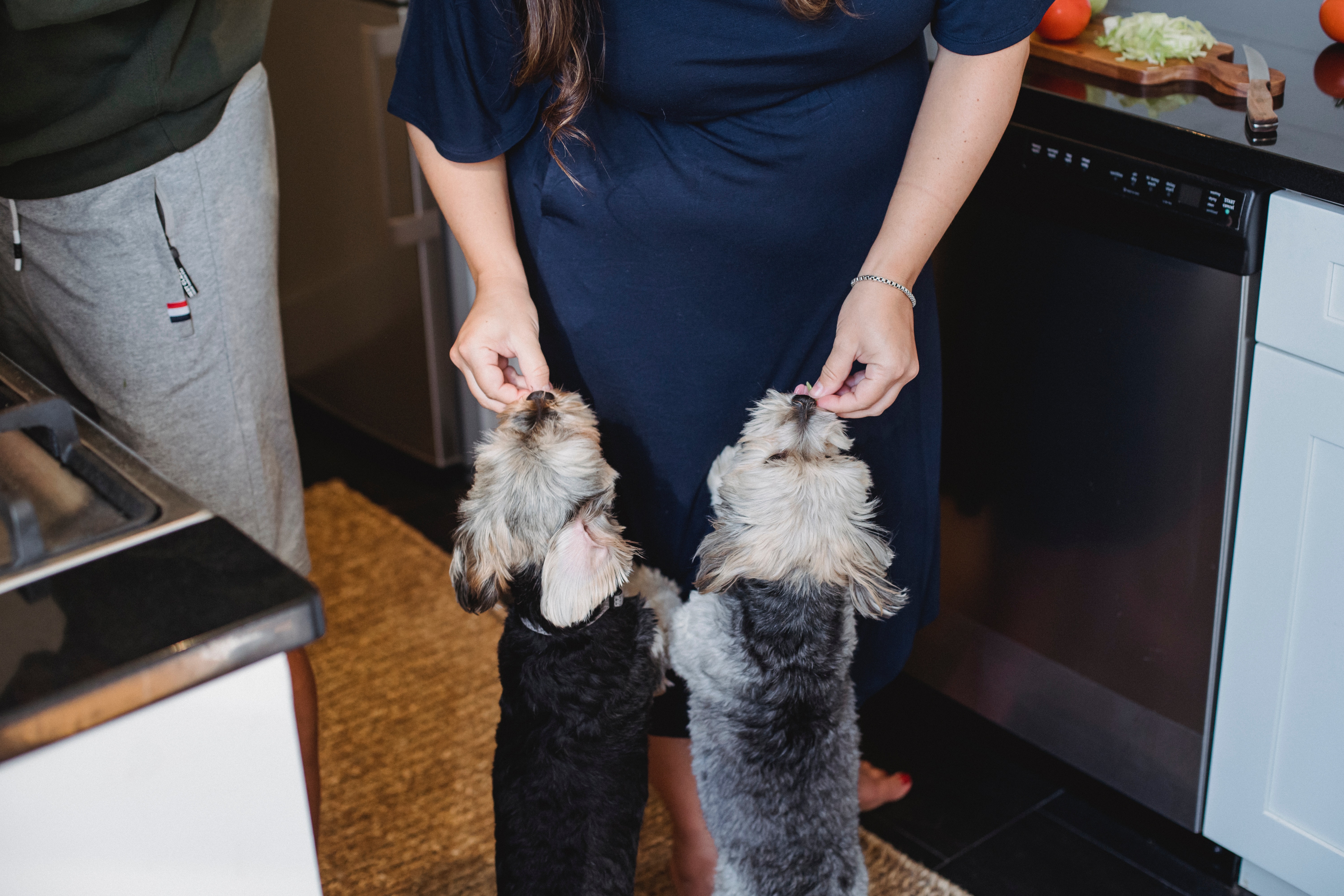 Alimentación perros