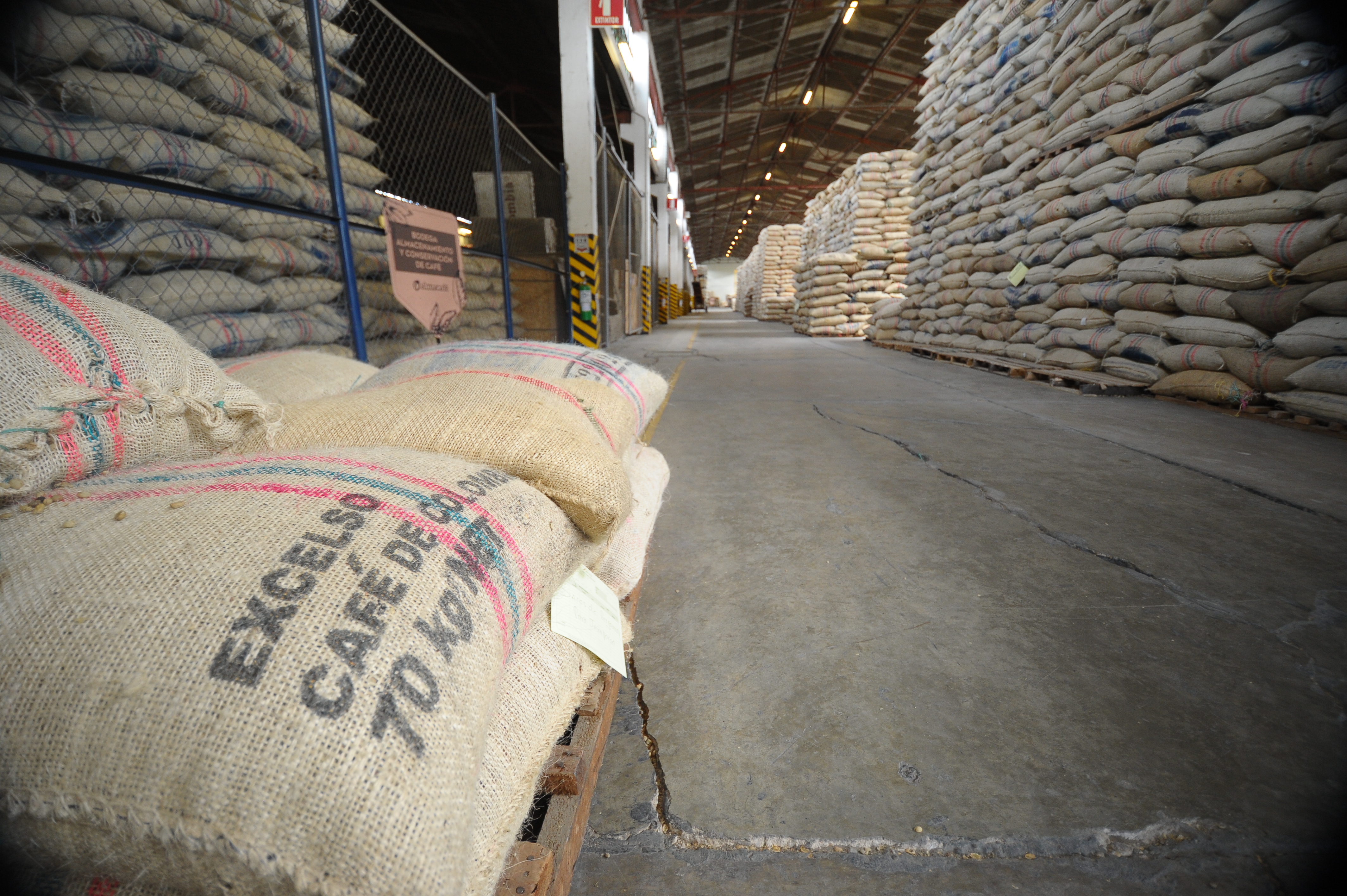 El café pierde fuerza en la economía colombiana y se proyecta una menor producción en 2026