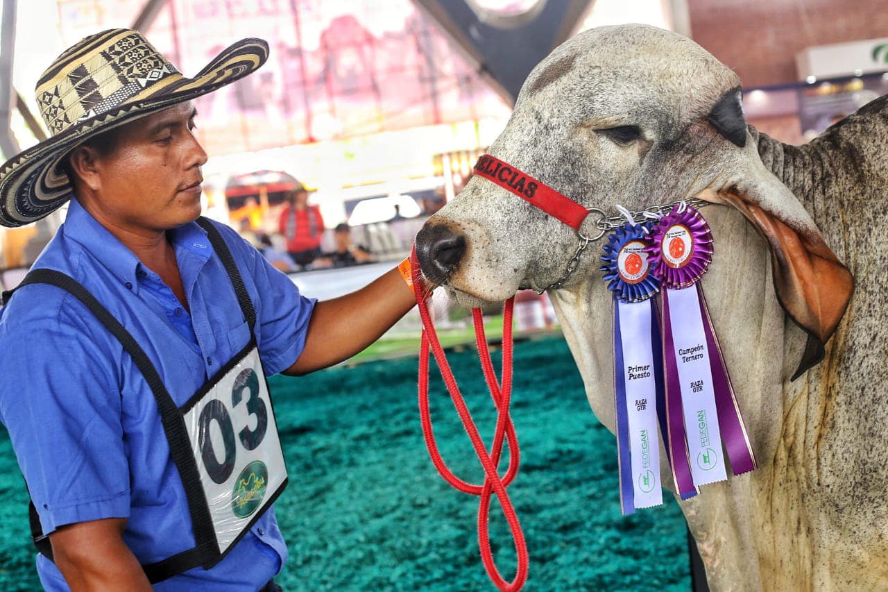 Esta es la programación de Expomalocas 2022 en Villavicencio