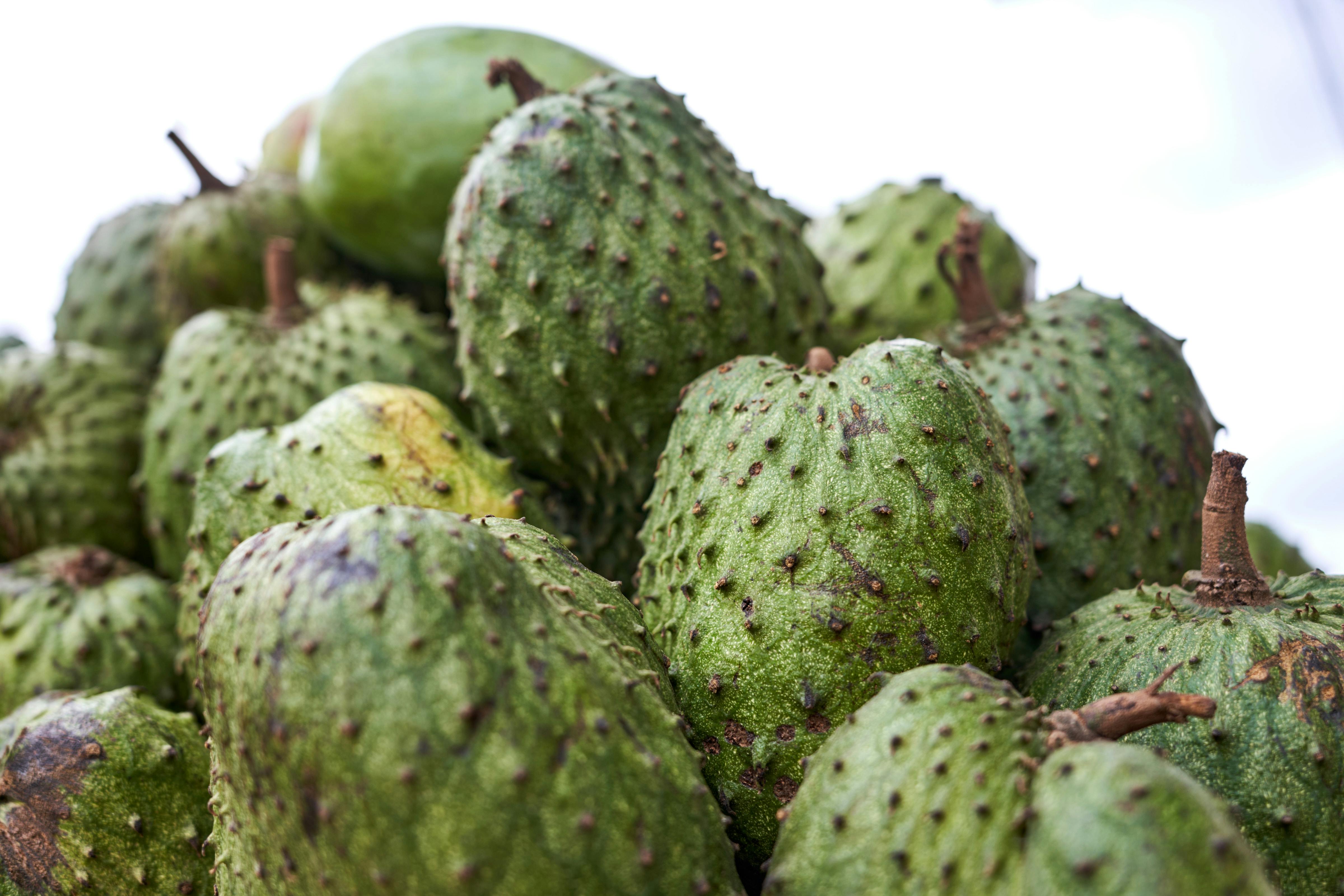 Así fue como estos diminutos escarabajos salvaron el helado de guanábana
