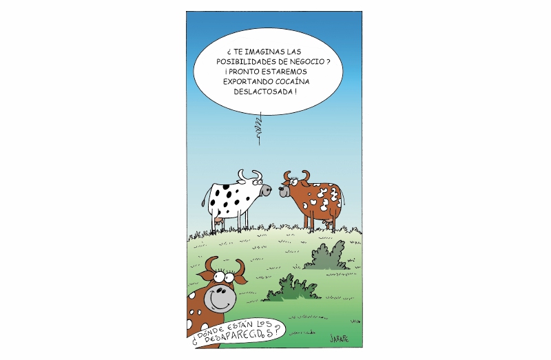 Cándida