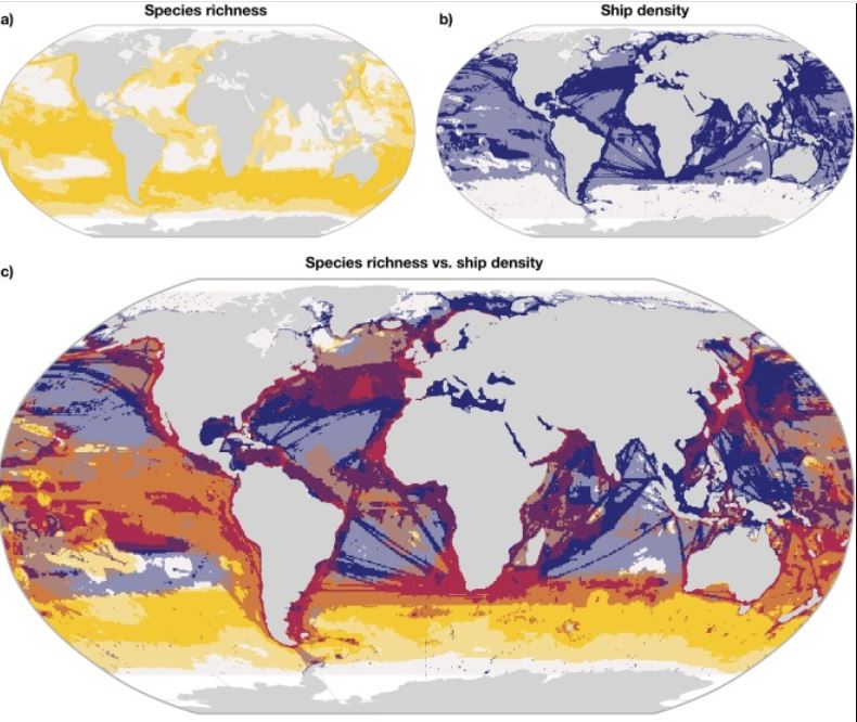 Qué partes del océano siguen libres de barcos (y por qué son clave para la conservación)