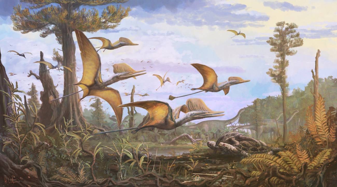 Estudio revela que las aves evolucionaron mucho antes del fin de los dinosaurios