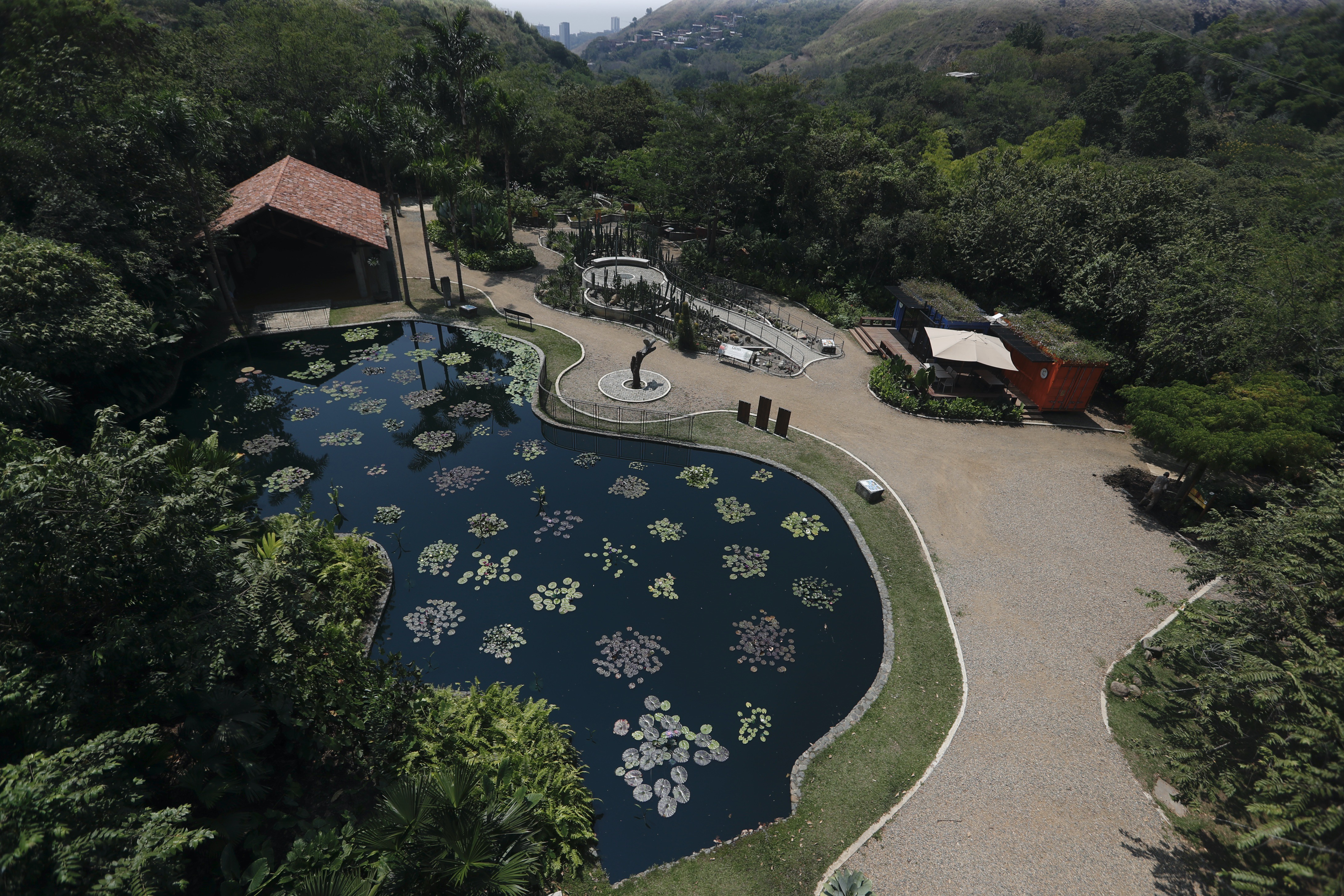AME4874. CALI (COLOMBIA), 01/09/2024.- Fotografía aérea del Jardín Botánico de Cali este miércoles, en Cali (Colombia). Hay quienes dicen que el oro es de color verde, el verde de las plantas, y en el Jardín Botánico de Cali, suroeste de Colombia, se han dedicado a conservar en sus 17 hectáreas una riqueza inigualable en el mundo. EFE/ Ernesto Guzmán Jr