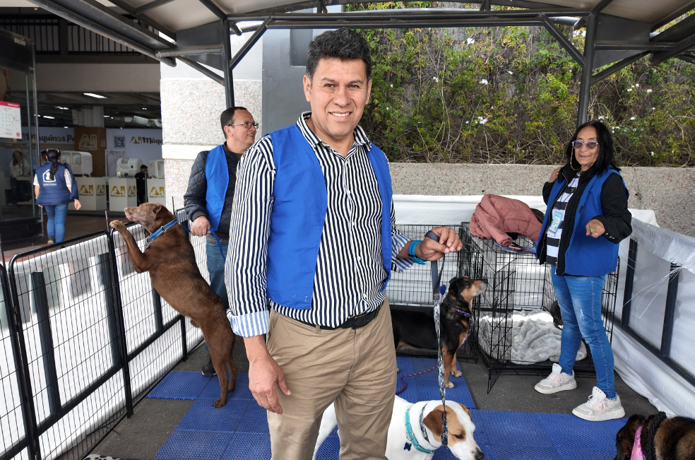 15 años dedicados a salvar vidas: así es la labor de Peluditos con Futuro