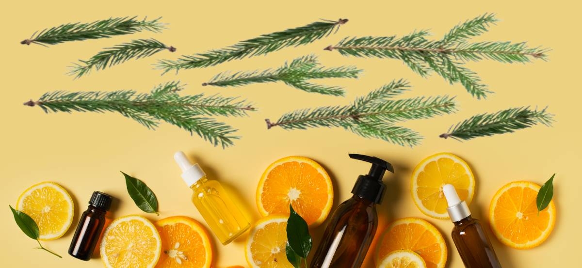 2 recetas de aromatizantes para que la cocina huela a pino y notas navideñas