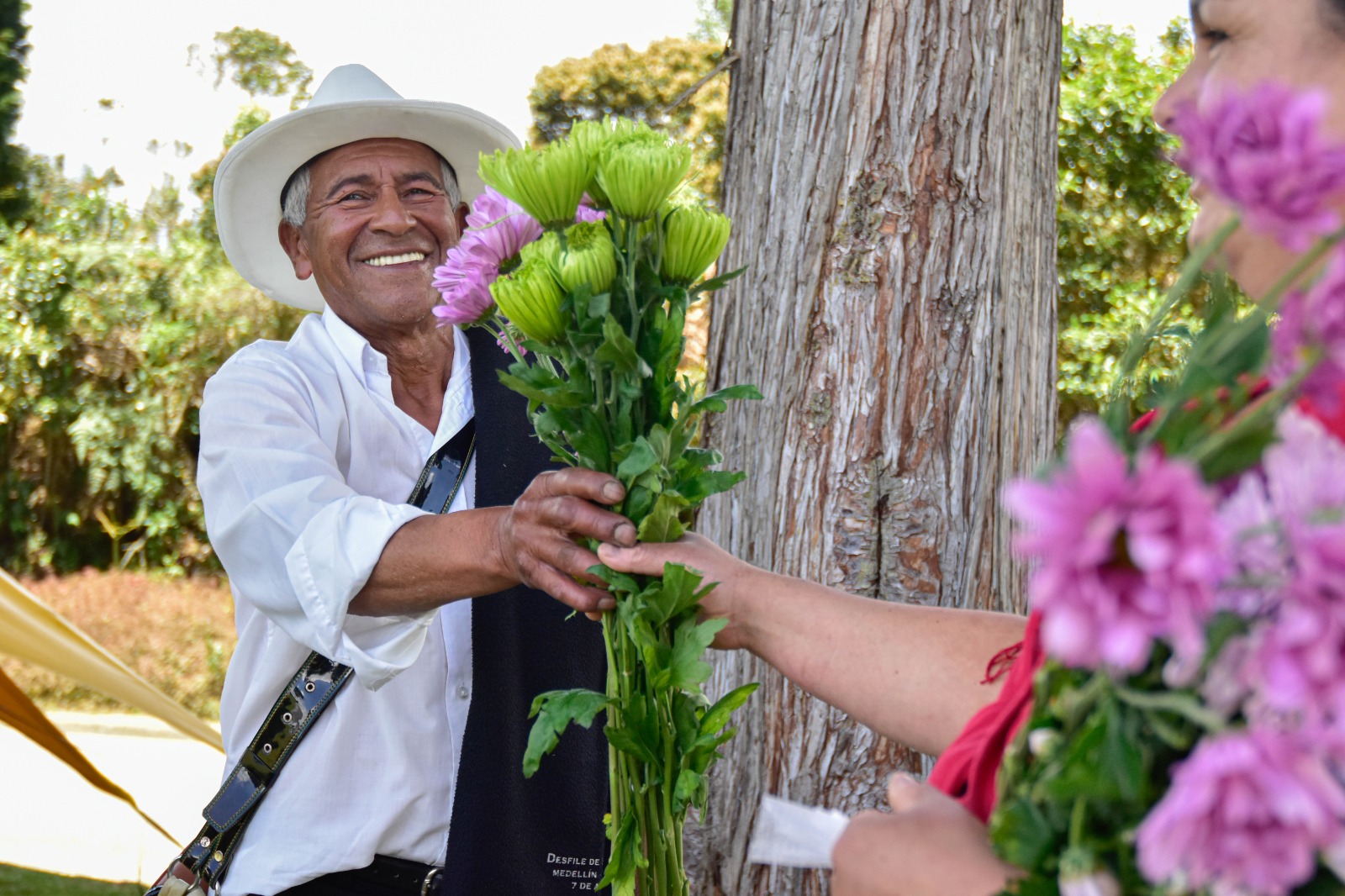 Conciertos, silletas y gastronomía: así se vive la Feria de las Flores en Comfama