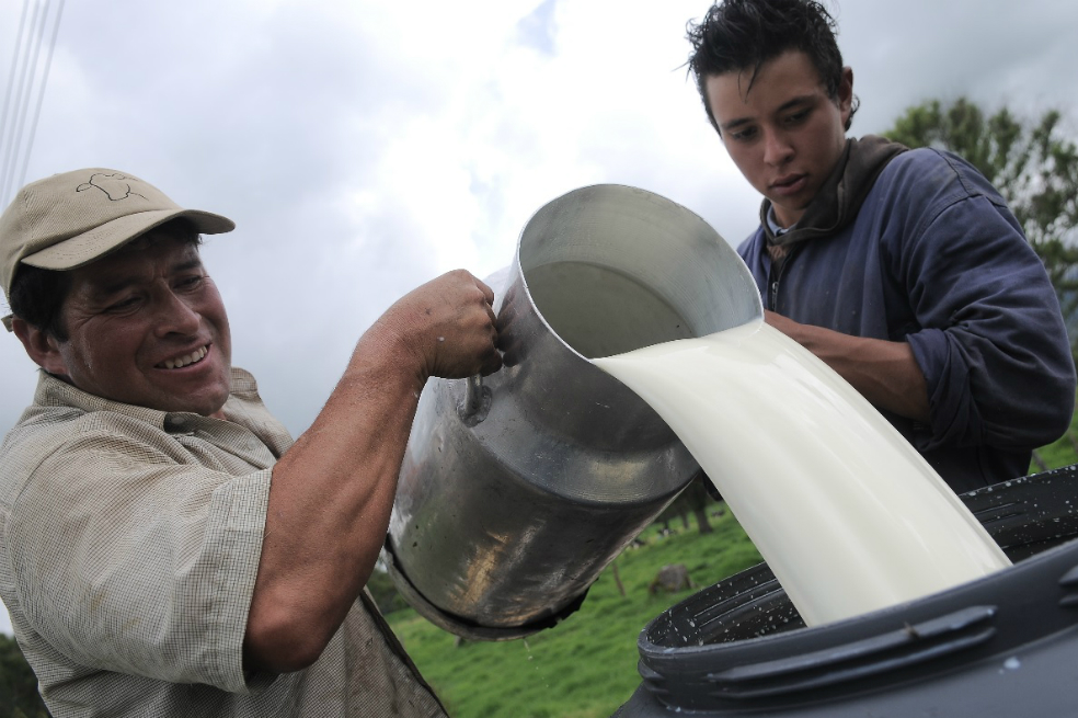 ¿Qué hacer con la sobreoferta de leche?