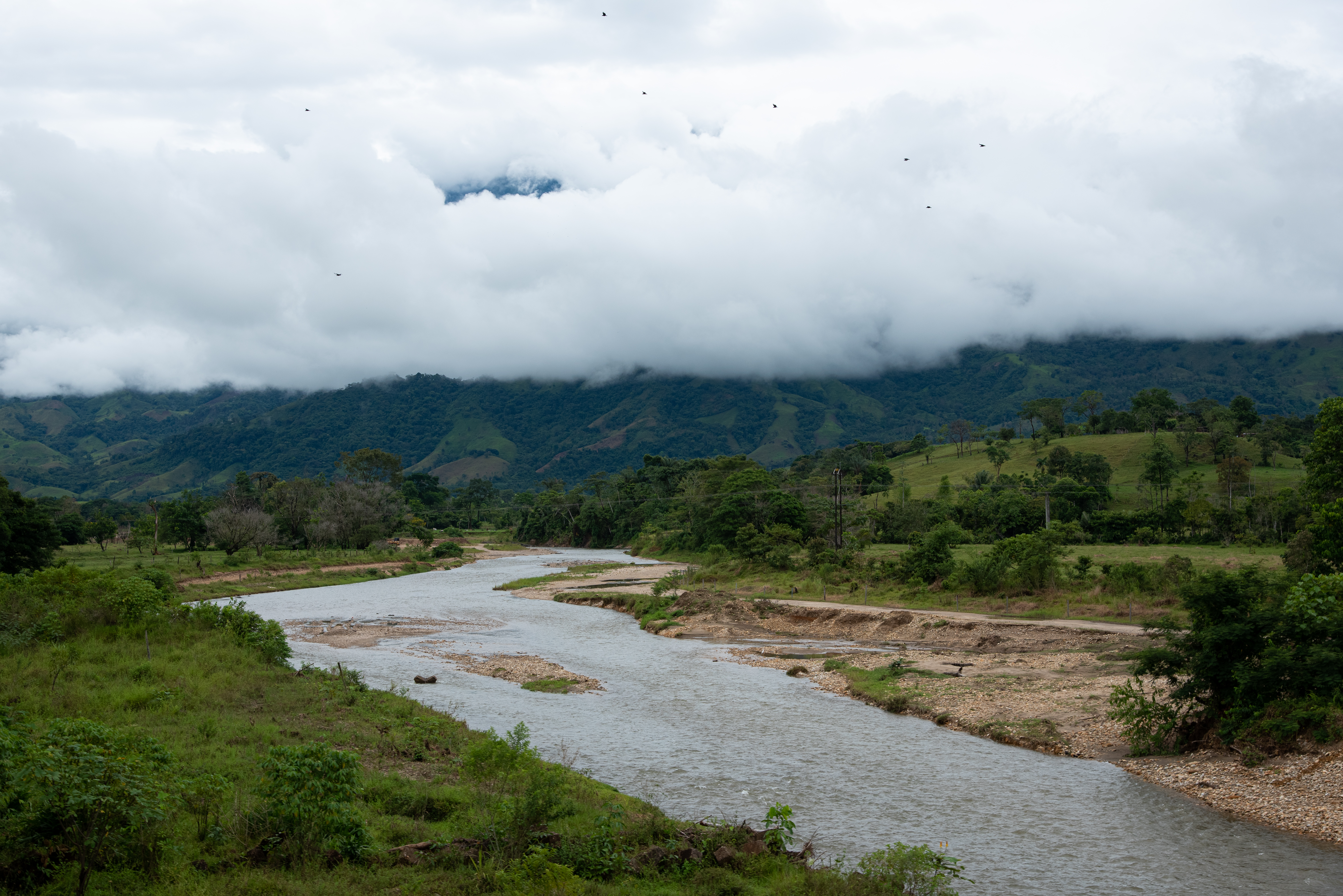 Las claves para proteger el agua en el Caribe, la Orinoquia y Amazonas