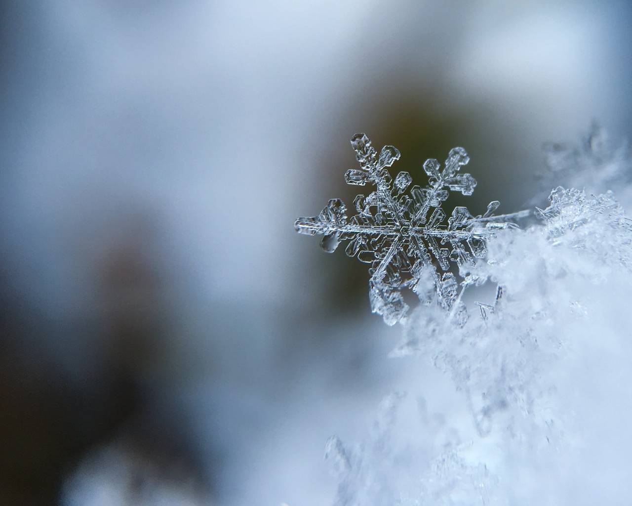 La imagen más característica de los cristales de los copos de nieve es una estrella de seis puntas con ramificaciones que son auténtico encaje de hielo. / Hippopx