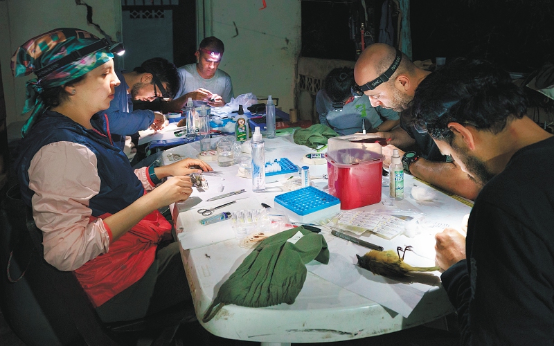 Tumbando estatuas: esfuerzos para descolonizar la ciencia en Colombia