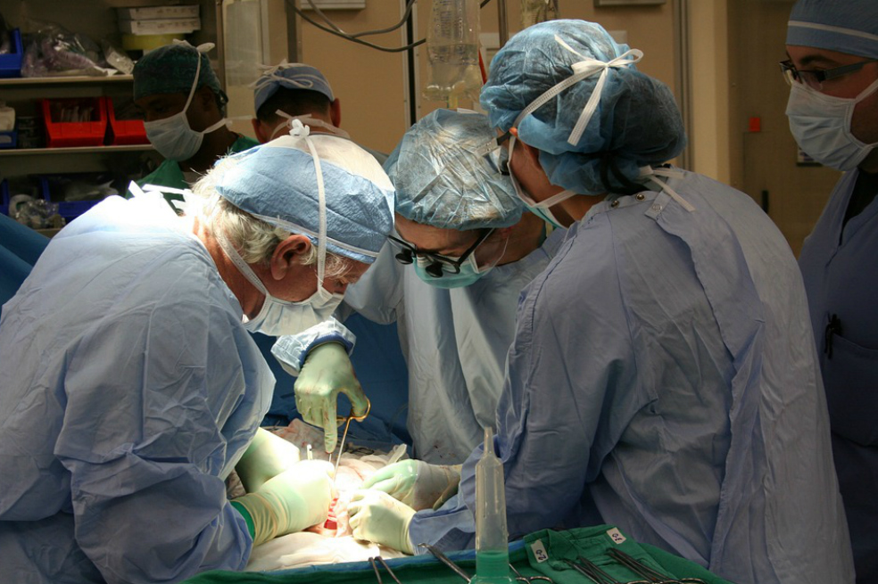 Hibernación en humanos podría frenar el cáncer