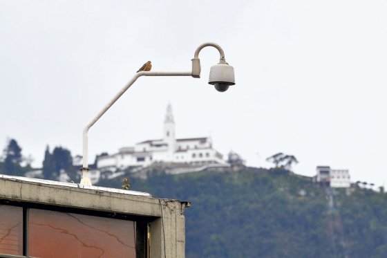 Piden investigar irregularidades en contratación en Fondo de Vigilancia y Seguridad