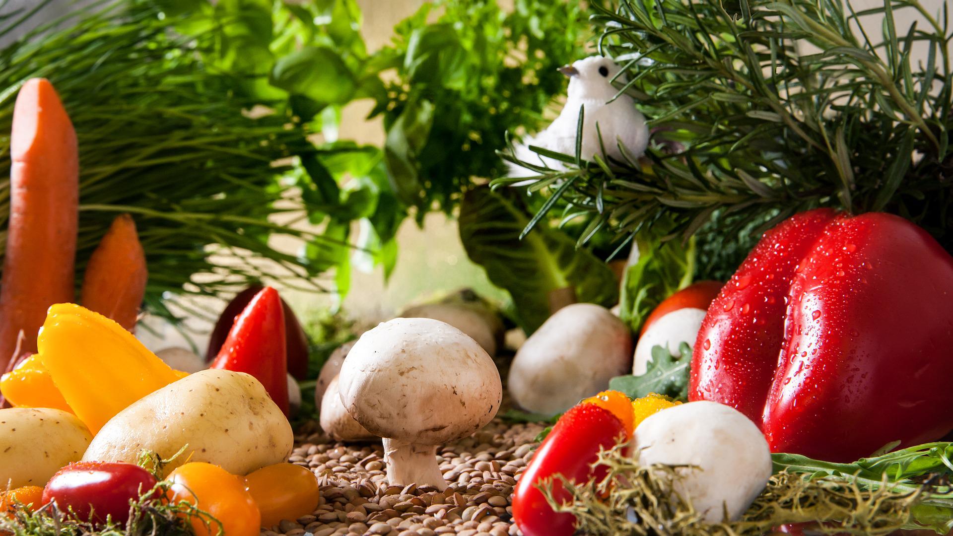 Alimentarte: una experiencia gastronómica con sabor colombiano