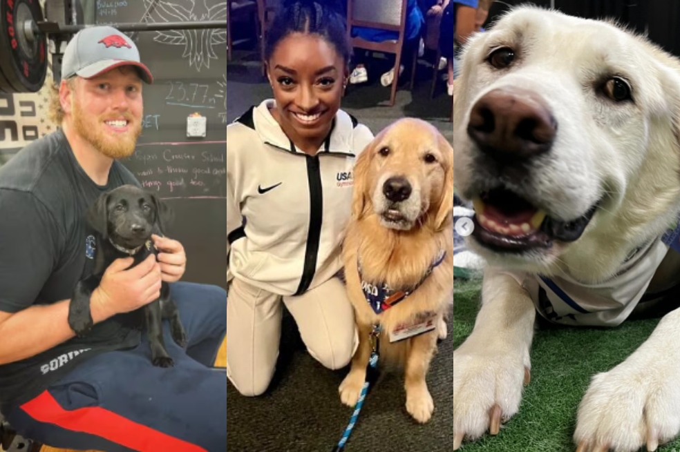 Deporte y amor: la conexión entre los atletas y sus mascotas en los Olímpicos 2024