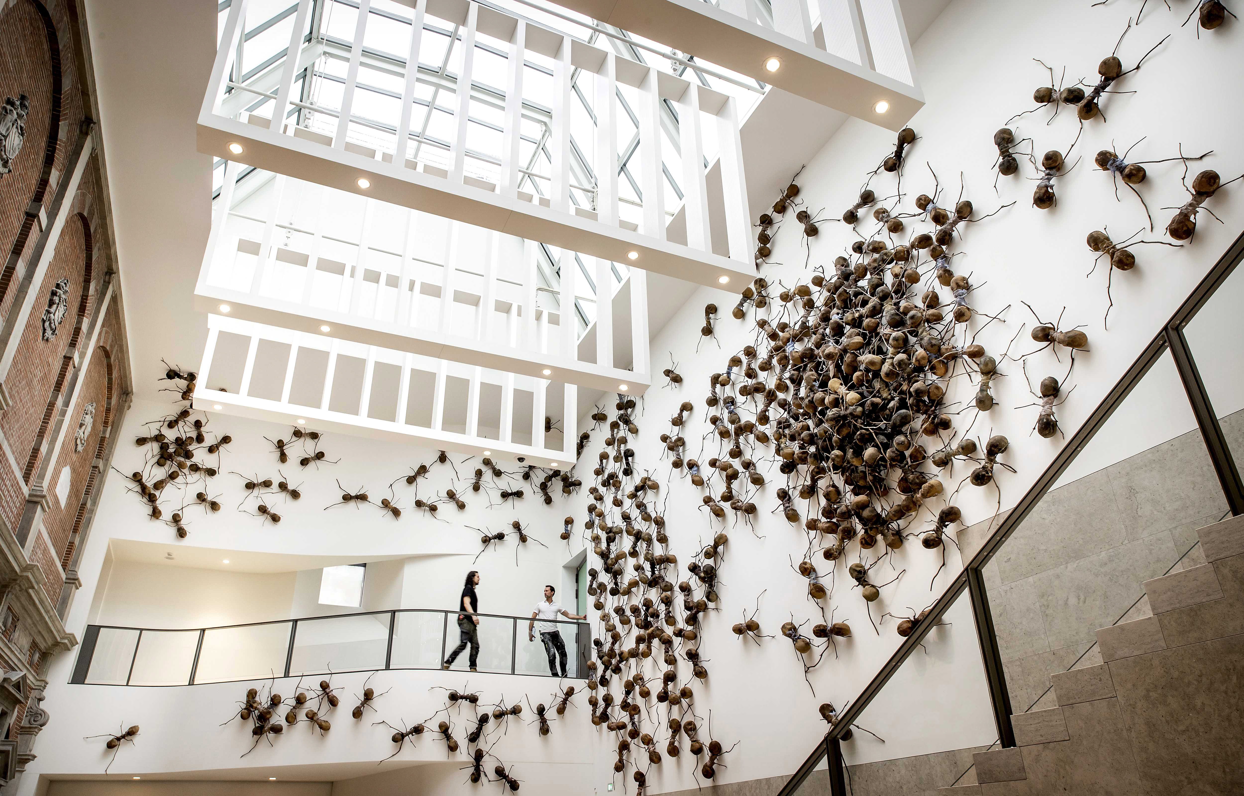 Las 700 hormigas de Rafael Gomezbarros toman el Rijksmuseum de Ámsterdam