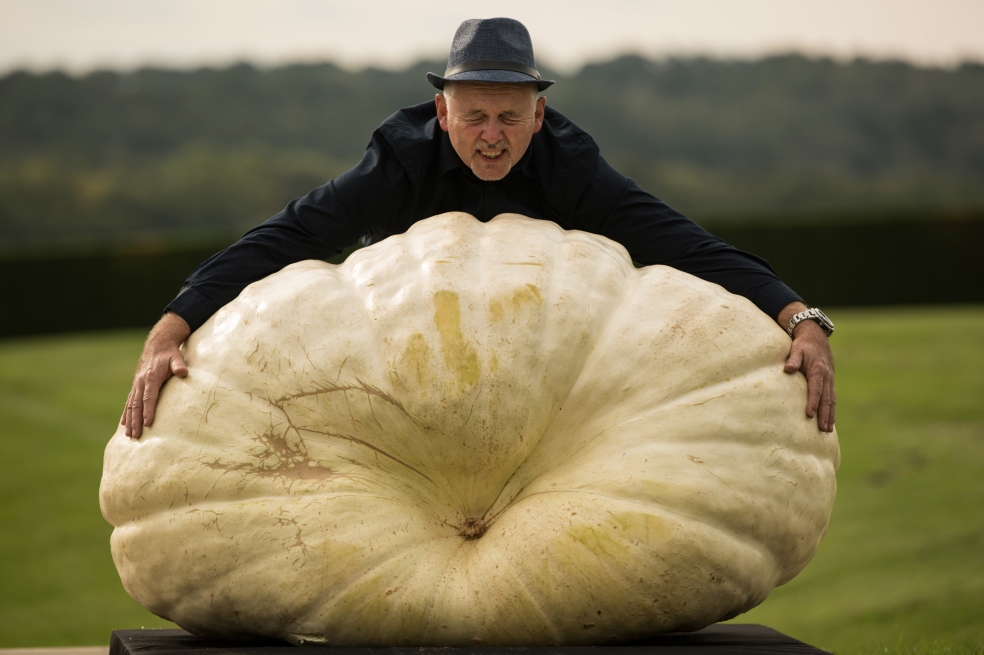 En fotos: así celebran el comienzo del otoño en Inglaterra