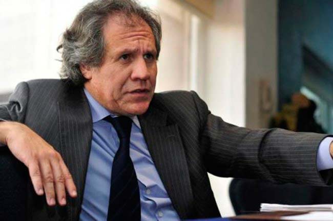 «Almagro está desahuciado políticamente»: Embajador de Venezuela ante OEA