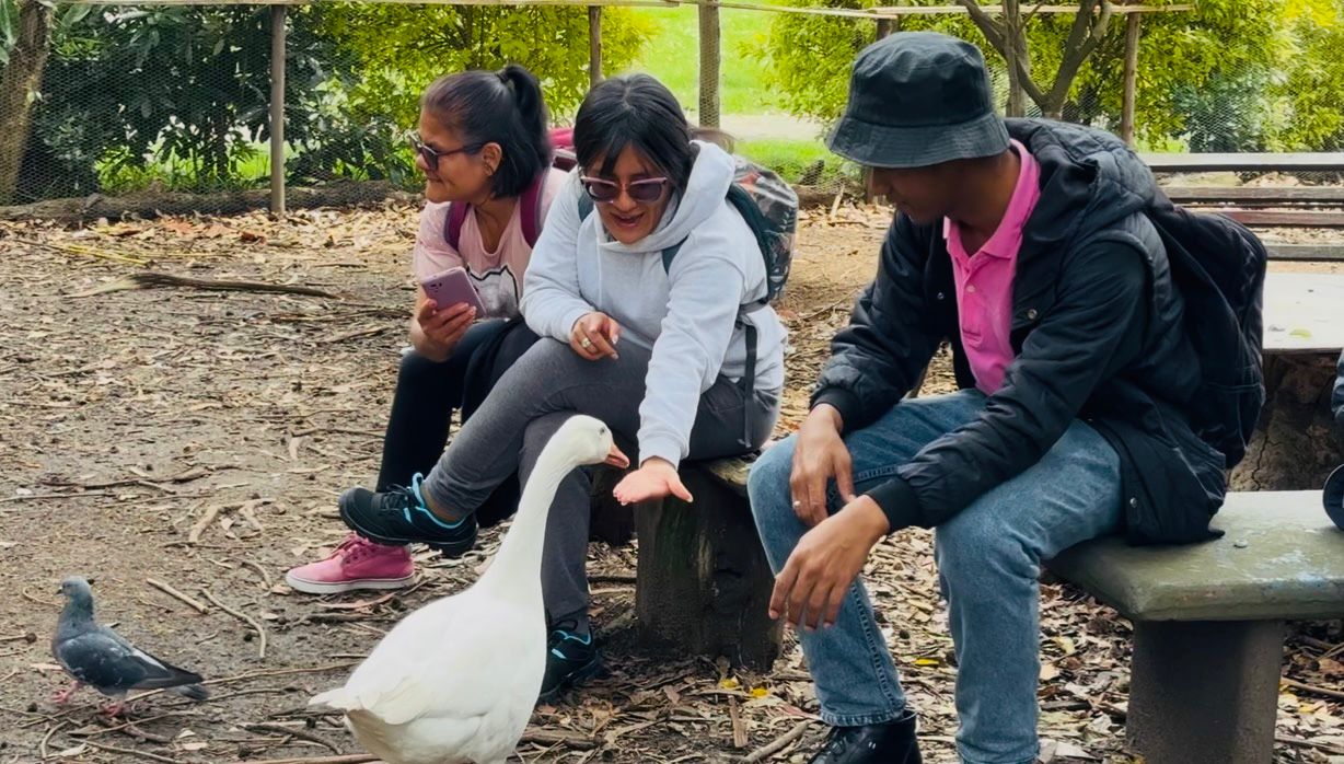 Denuncian orden de desalojo en santuario animal de Bogotá: 113 animales estarían en riesgo