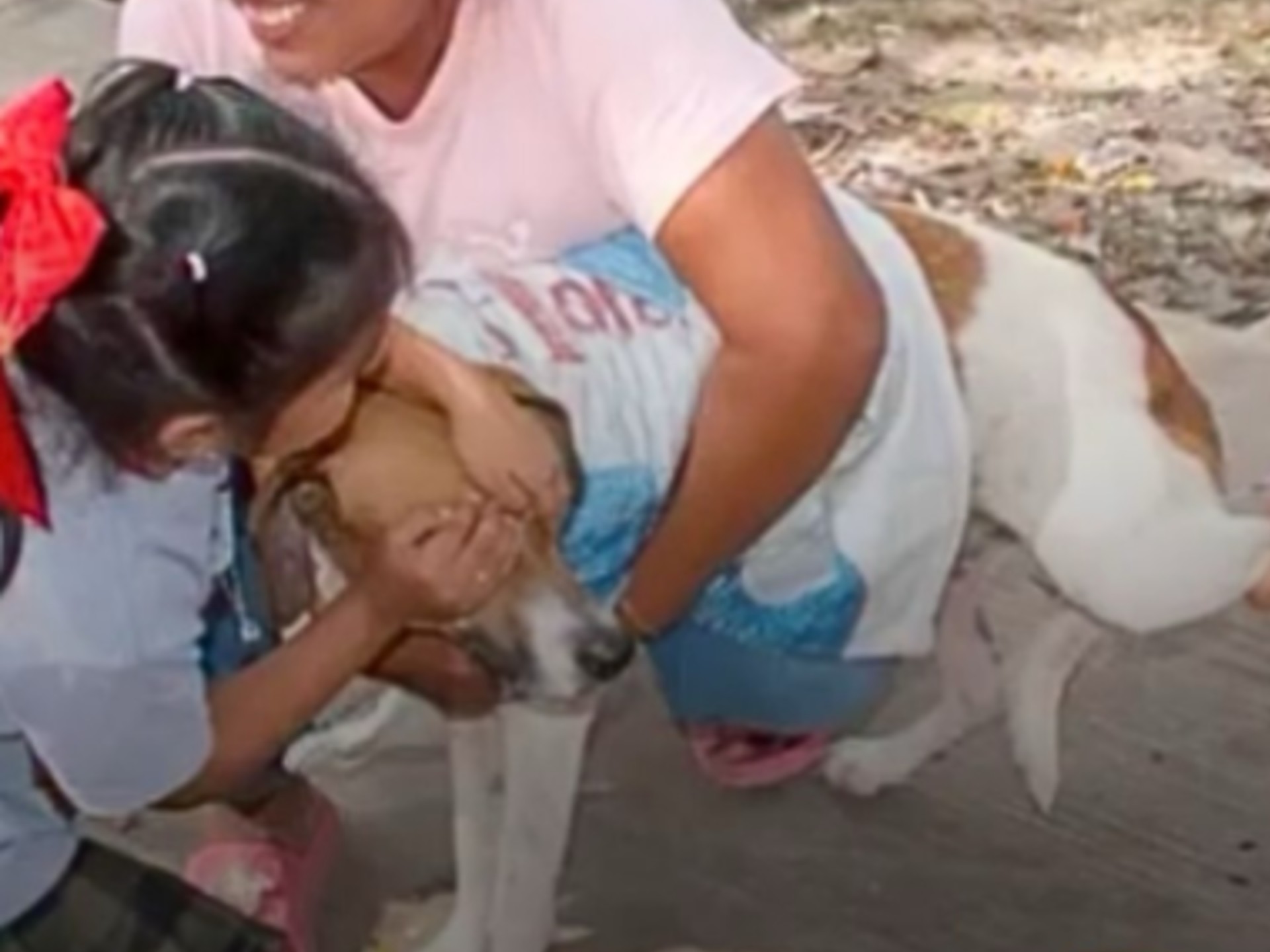 Niña cubre los ojos de su perro mientras recibe una vacuna y conmueve en campaña gratuita