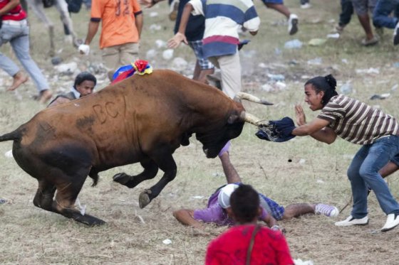 Bolívar dijo no a las corralejas