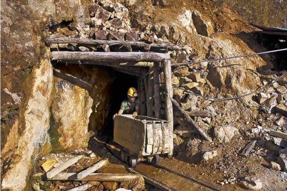 Avance de la minería va más rápido que el estudio de la biodiversidad