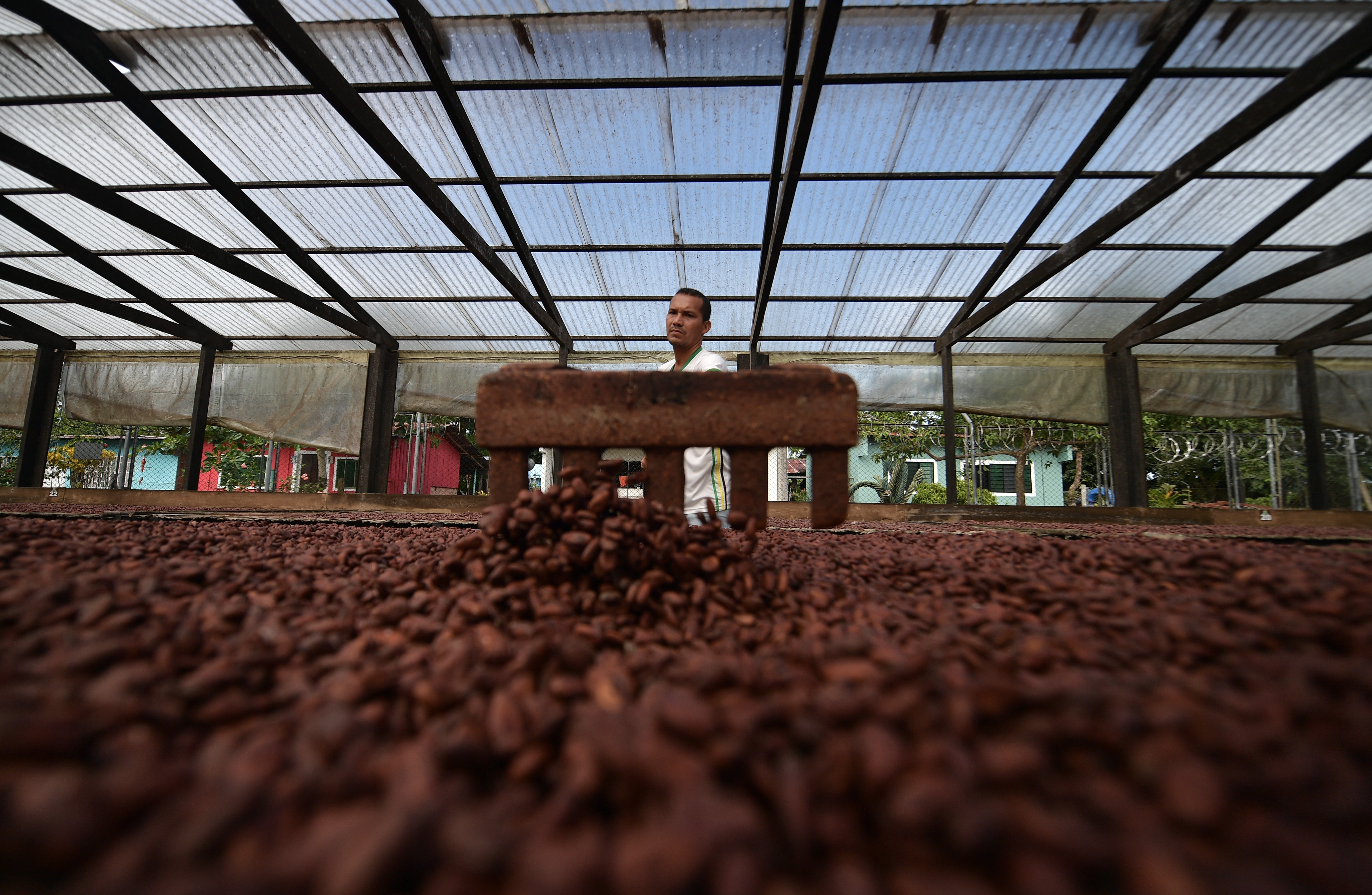 “Más del 99% de los negocios verdes son micro y pequeñas empresas” en la RAC: BID