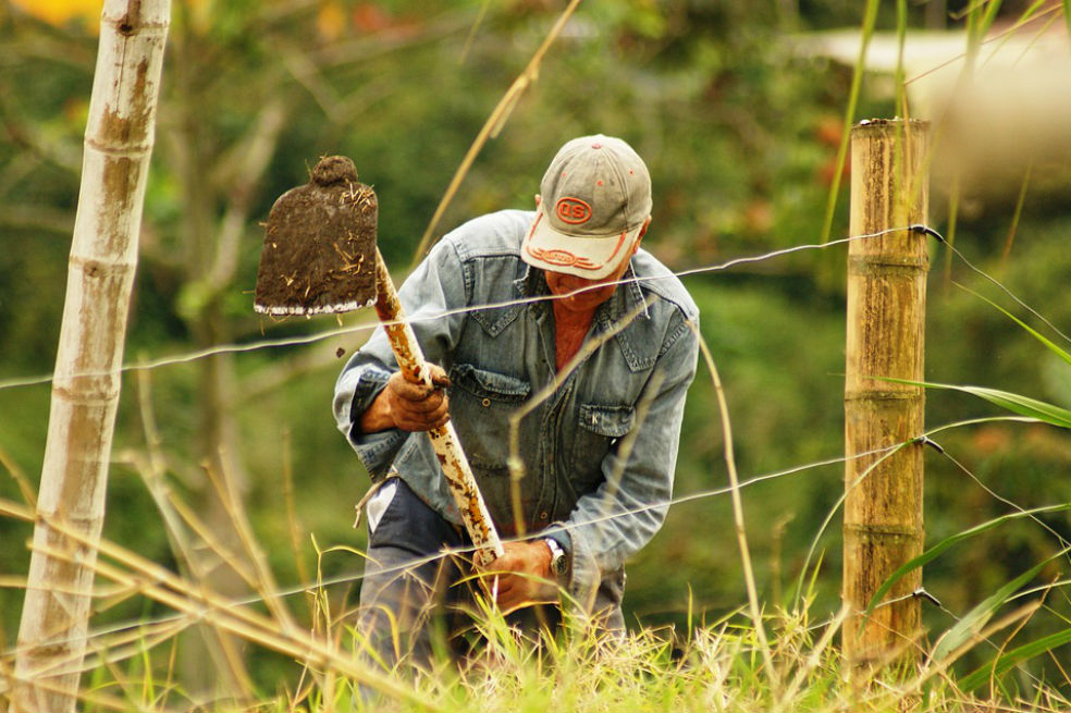Desarrollar el sector rural para luchar contra el hambre y la pobreza, afirma la FAO