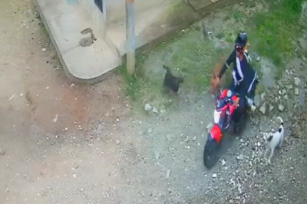 (VIDEO) ¡Indignante! Hombre atacó con machete a perrita de cinco meses en Ibagué
